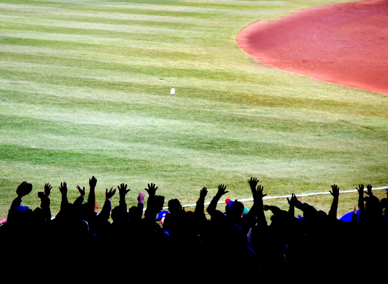 Pro Baseball Champion image